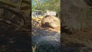 massive rootball tree removal #heavyequipment