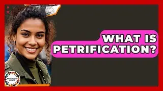 What Is Petrification? - Anthropology Insights
