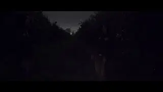 Short film-пошел в лес и встретил самого себя