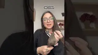 DIFFERENZA TRA RATTO DI FOGNA E RATTO DOMESTICO🐀🐭#ratto #ratti #rat #rats #ratt #topo #topi #perte