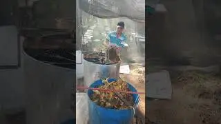 🍯 Harvesting Coffee Blossom Honey &ndash; Sustainable Beekeeping at HuyEco Farm! ☕
