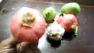 Amazing artificial vegetable hack I know.👌👌