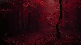 Blood Forest Rain Sounds | From Blood and Ash Inspired | Background for Reading & Studying