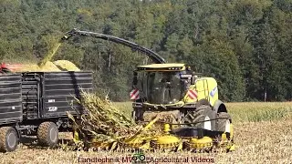 New Holland - Fendt - Conow - Hawe / Maissilage - Silaging Maize  2024