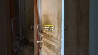 Купили самую грязную квартиру в Питере за 9,1 млн.р | ФЛИППИНГ #ремонт #флиппинг