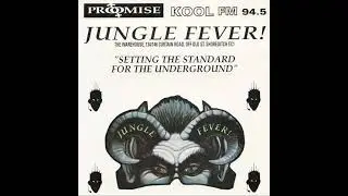 DJ Ron @ Jungle Fever, Shoreditch 1993
