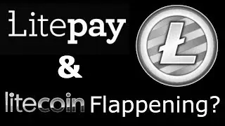 Litepay Update and The Litecoin Flappening?!? Lets Have A Look!