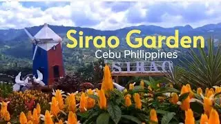 Взгляд на цветник Сирао, Себу, Филиппины #siraoflowergarden #Cebutourism #ofwvacation