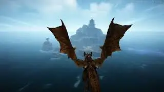 BDO - Dragon Riding Experience