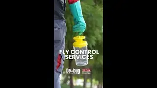 Eco-Friendly Fly Control in the UAE 🪰✨ Say Goodbye to Germs & Buzzing!