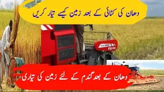 How to prepare land after Rice harvesting دھان کی کٹائی کے بعد زمین کیسے تیار کریں #rice#crop#kisan