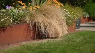 Contemporary Garden Design | Luxury Landscaping in Kent & Surrey by Langdale Landscapes