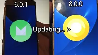 Updating A Samsung Galaxy S7 from Marshmallow to Oreo