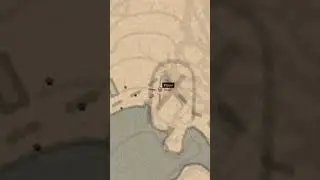 Defaced Grave Point Of Interest Location Red Dead Redemption 2 #shorts