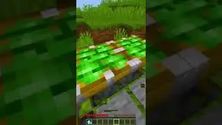 CAI NA TRAP DO PISTAO #SHORTS #minecraft #minecraftshorts #trapminecraft #dicasminecraft