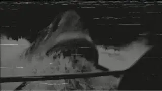 The Jaws Ride Incident (1990)- Jaws Analog Horror