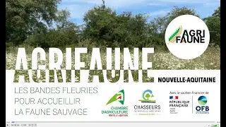 Des bandes fleuries pour accueillir la faune sauvage (Agrifaune Vienne)