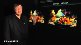 BVM X300 30  OLED 4K Mastering Monitor   Sony 2015