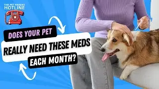 The Truth About Year-Round Flea, Tick, and Heartworm Meds