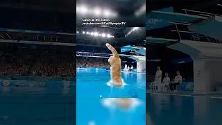 Can this CAT take home GOLD in the Olympics? 🥇 #cat #cats #olympics #ai #veo3 #diving #pool #sports