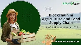 Blockchain in Agriculture and Food Supply Chain | A $100 Billion Market by 2029