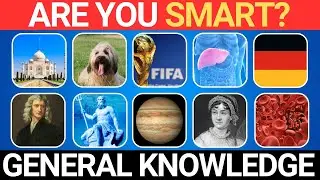 Can You Get All 30 Quiz Questions Right?