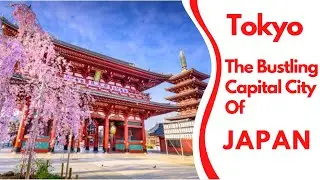 Tokyo The Bustling Capital City Of Japan /  Tokyo never fails to captivate and inspire.