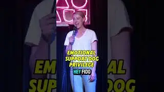 just trade places😅🐶 #mentalillness #emotionalsupportdog #comedy #shelterpets  #serviceanimals