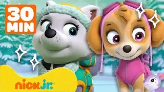 Paw Patrol - La Squadra dei Cuccioli | I salvataggi pi&ugrave; audaci con Skye ed Everest! | Nick Jr.