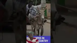 Uncertainty and protests: Go behind the scenes during the Niger military takeover