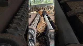 Wood sawmill peeling 🪵🌲|#wheelsaw #peeling #woodwork