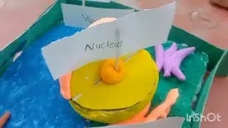 # school project # 3D model # plant cell # labeling # education centre