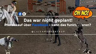 Online Pferdekauf?! 😳 Ich habe ein rohes Jungpferd gekauft - anders als geplant 🐴💫
