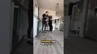 Don't underestimate a dog's sixth sense 😮
