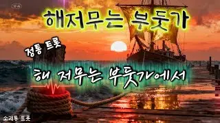 찢긴 돛단배처럼 살아온 우리 인생... 다시 닻을 올립니다