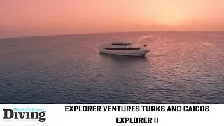 World's Best Diving: Explorer Ventures Turks and Caicos Explorer II