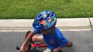 Tiger riding a bicycle