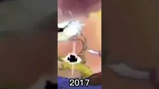 The 