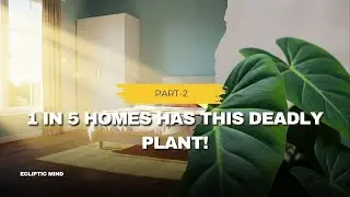 These 5 Houseplants Are SILENT KILLERS #plants #science #facts #garden #toxic #avoid #botany