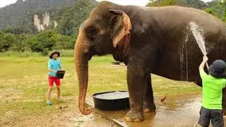 A Virtual Journey Through Thailand