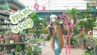 venez acheter des plantes avec moi / mini vlog