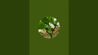 Farming___217 लाइव है!