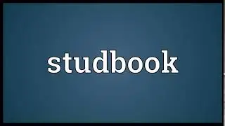 Studbook Meaning | Wordogram