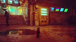 Stray: ray-tracing?