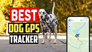 ✅Best dog gps tracker in 2025