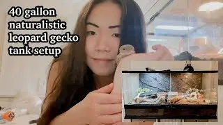 New 40 gallon naturalist leopard gecko tank setup | HUGE leopard gecko tank makeover | SarahMeiPets