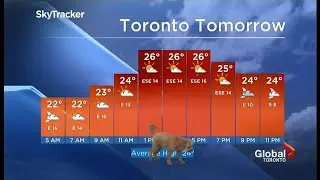 Dog steals the weather segment (fun story) (Canada) - BBC News - 1st September 2021