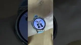 Обзор HUAWEI Watch GT 5 41mm