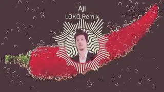 Dj Wady - Aji (LOKO Remix) | Official Visualiser