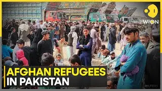Pakistan government's crackdown on afghan refugees | Latest News | WION